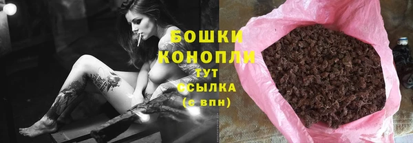 дурь Ельня