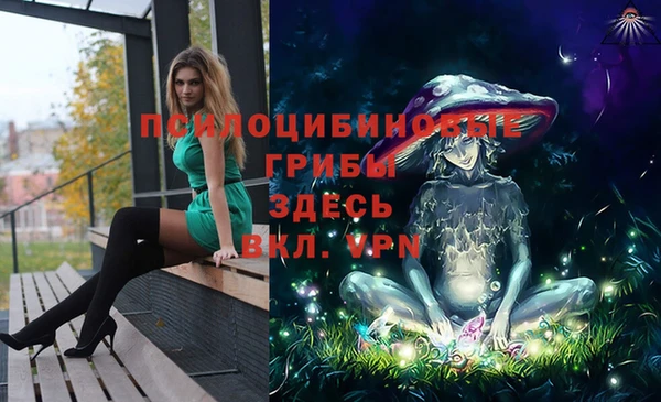 мет Елизово