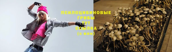 мет Елизово