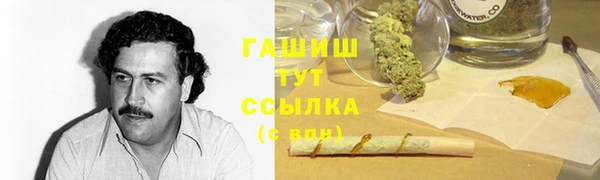 дурь Ельня