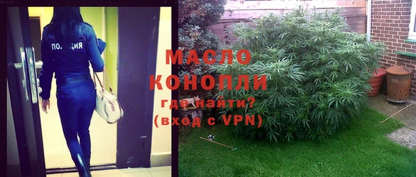 дурь Ельня