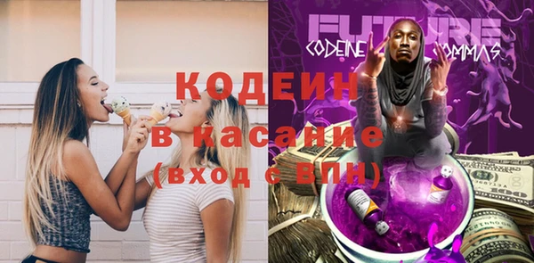 мет Елизово