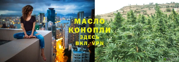 дурь Ельня