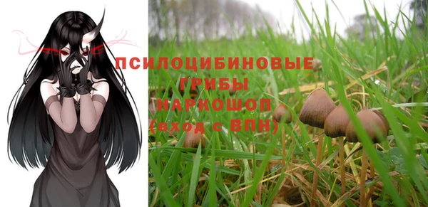 mix Елабуга