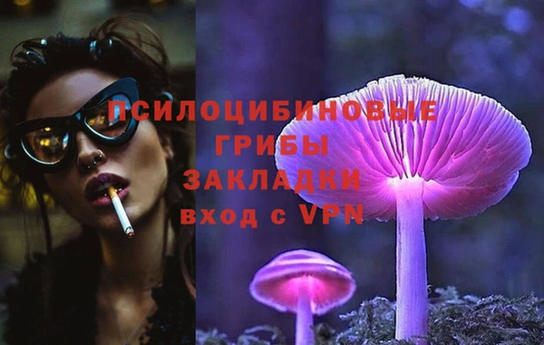 дурь Ельня