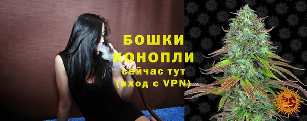 мет Елизово