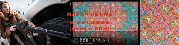 дурь Ельня