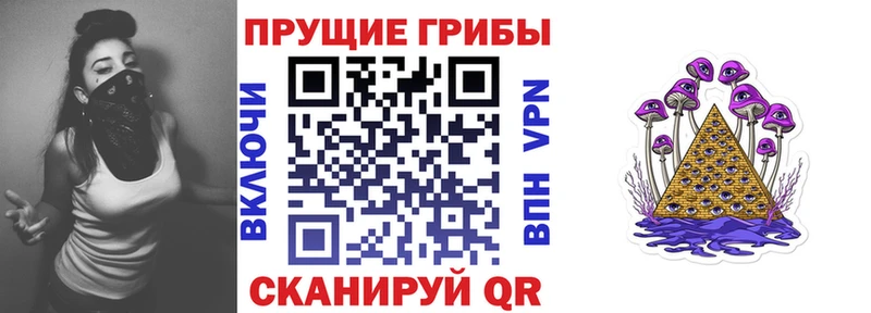 omg как войти купить закладку Нефтеюганск Псилоцибиновые грибы MAGIC MUSHROOMS